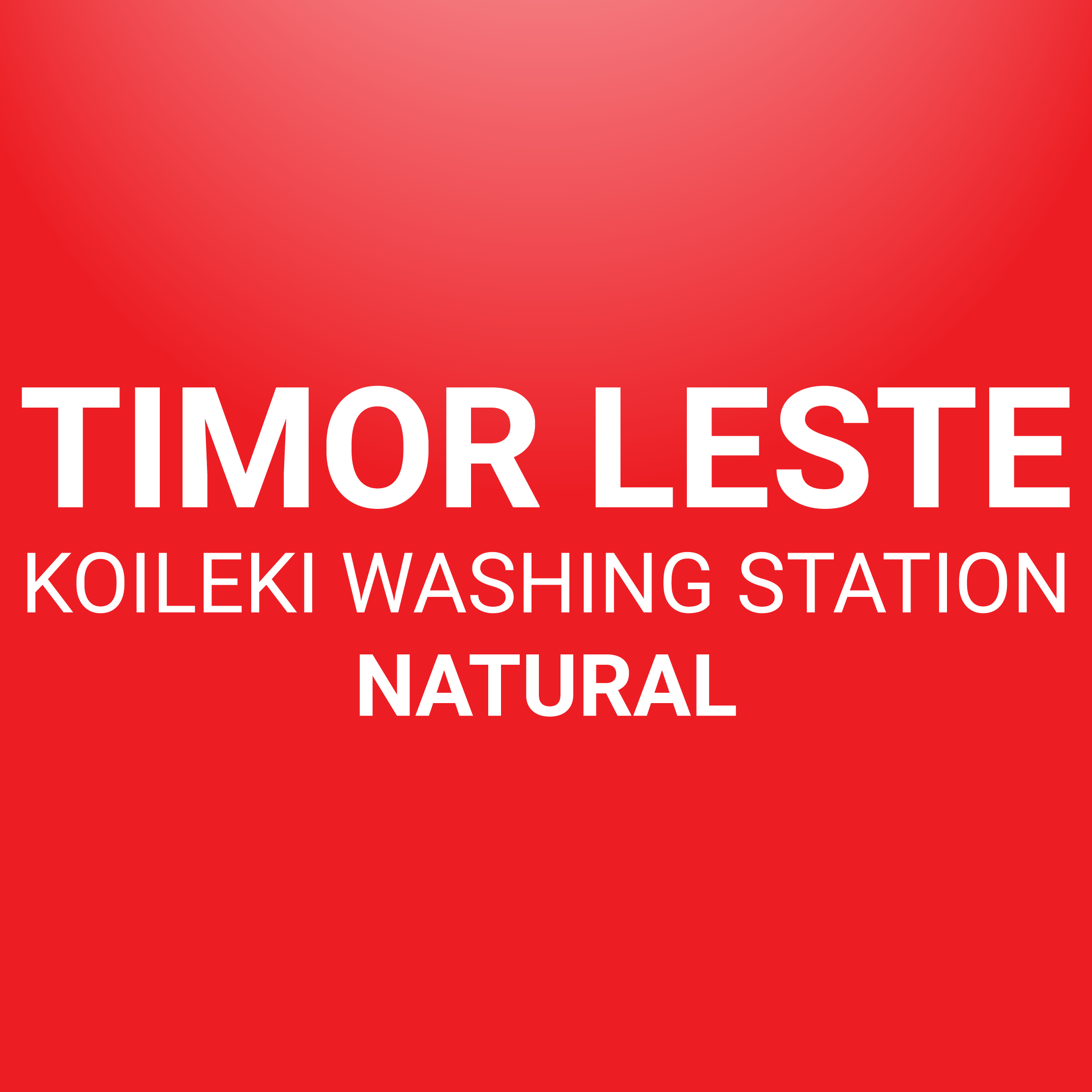 Timor-Leste - Koileki Washing Station