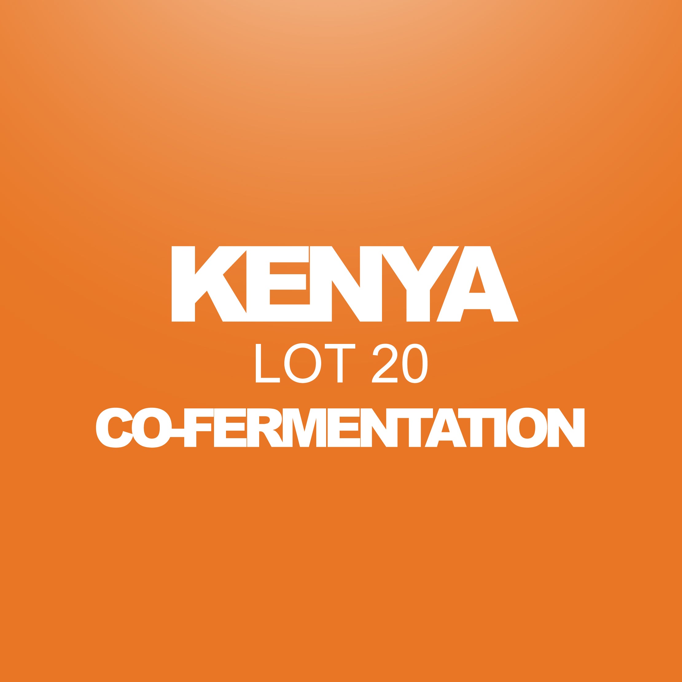 Kenya Lot 20 Orange Co-Ferment