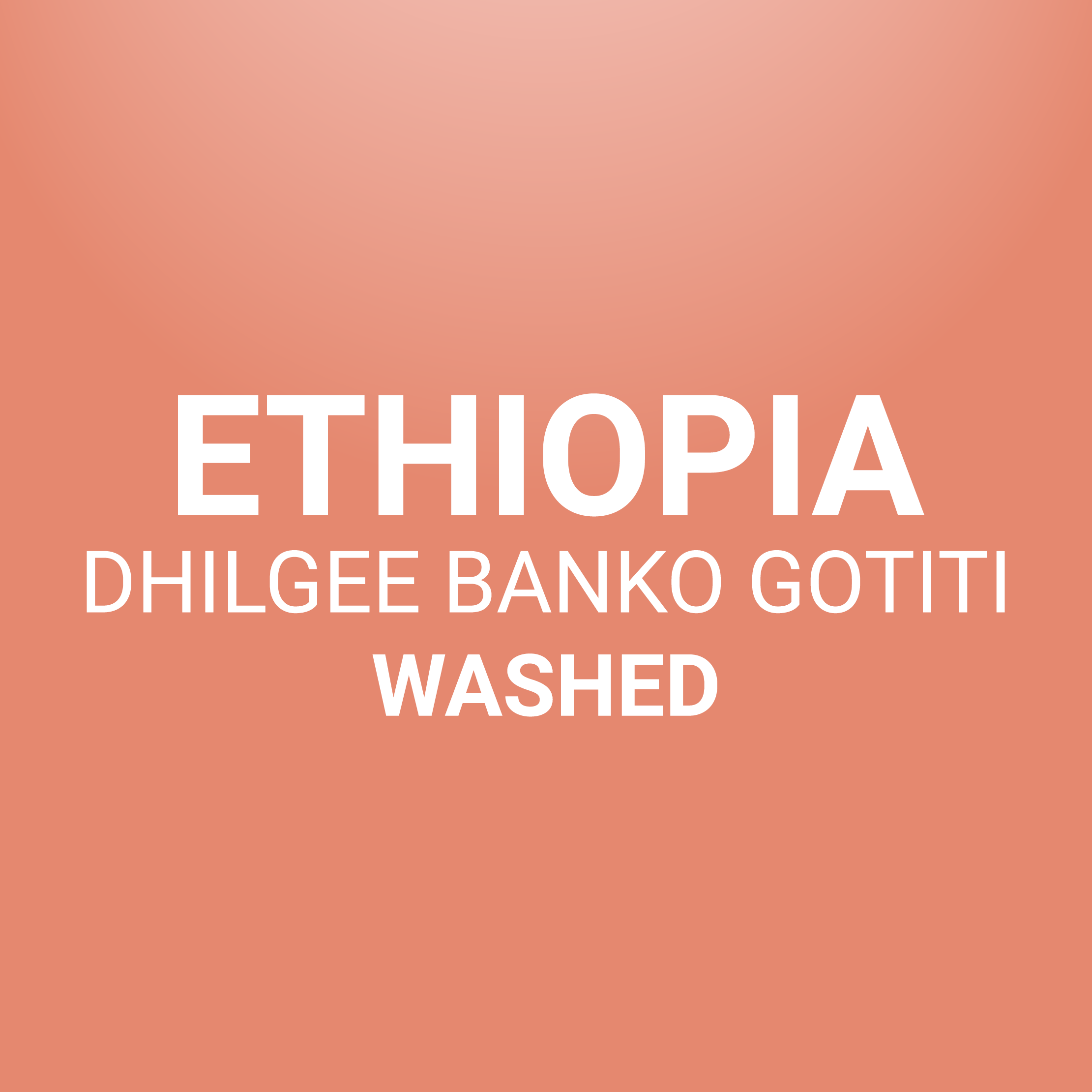 Ethiopia, Dhilgee Banko Gotiti