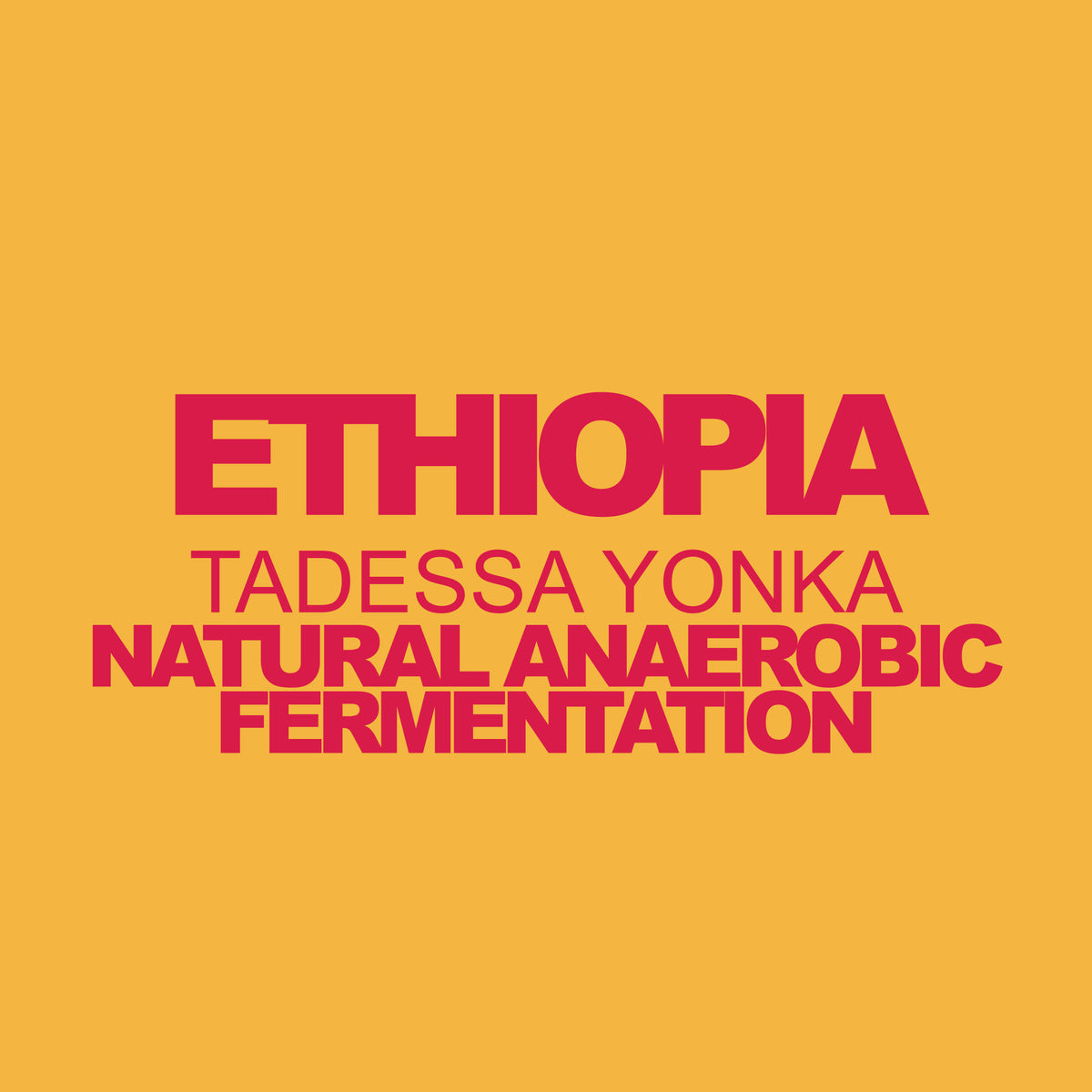 Ethiopia, Tadessa Yonka